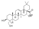 CAULOPHYLLOGENIN