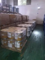 Indigo - Image 3