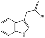 Indole-3-Acetic Acid - Image 2