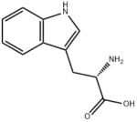 L-Tryptophan - Image 2