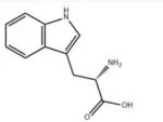 L-Tryptophan - Image 2