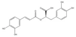 Rosmarinic acid - Image 2