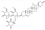 SOLASONINE - Image 2